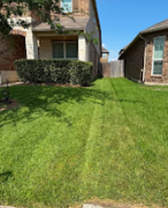 Corner lawn edged along the driveway