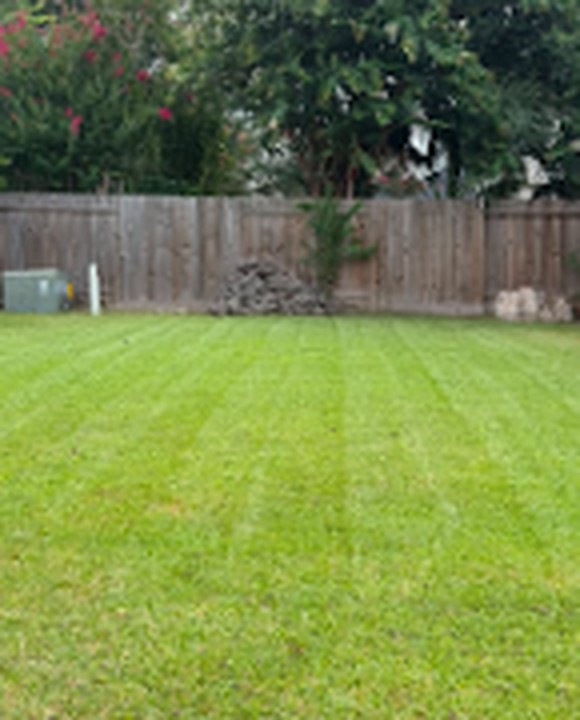 Large backyard with wide professional mowing stripes