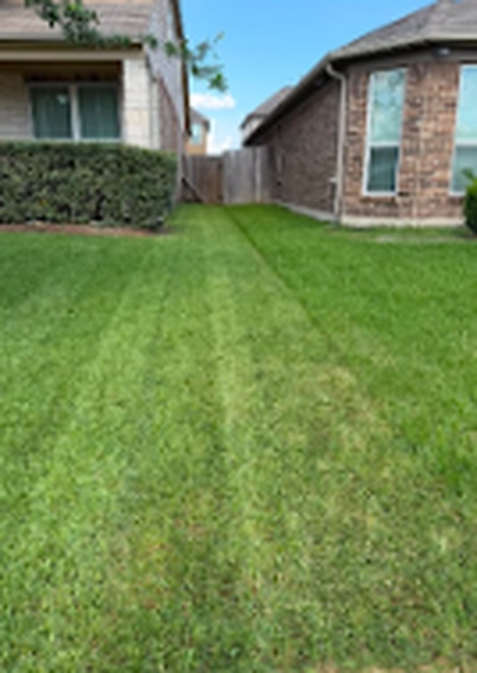 Striped backyard lawn beside a brick home after mowing