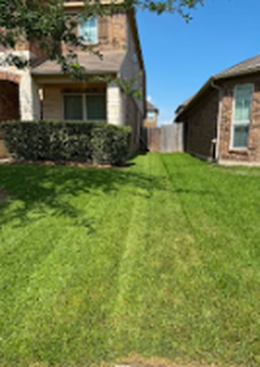 Side yard freshly mowed with clean mowing lines